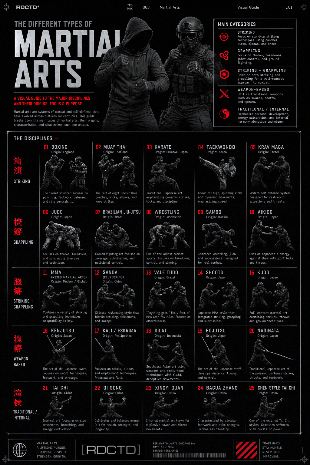 Martial Arts Infographic PDF