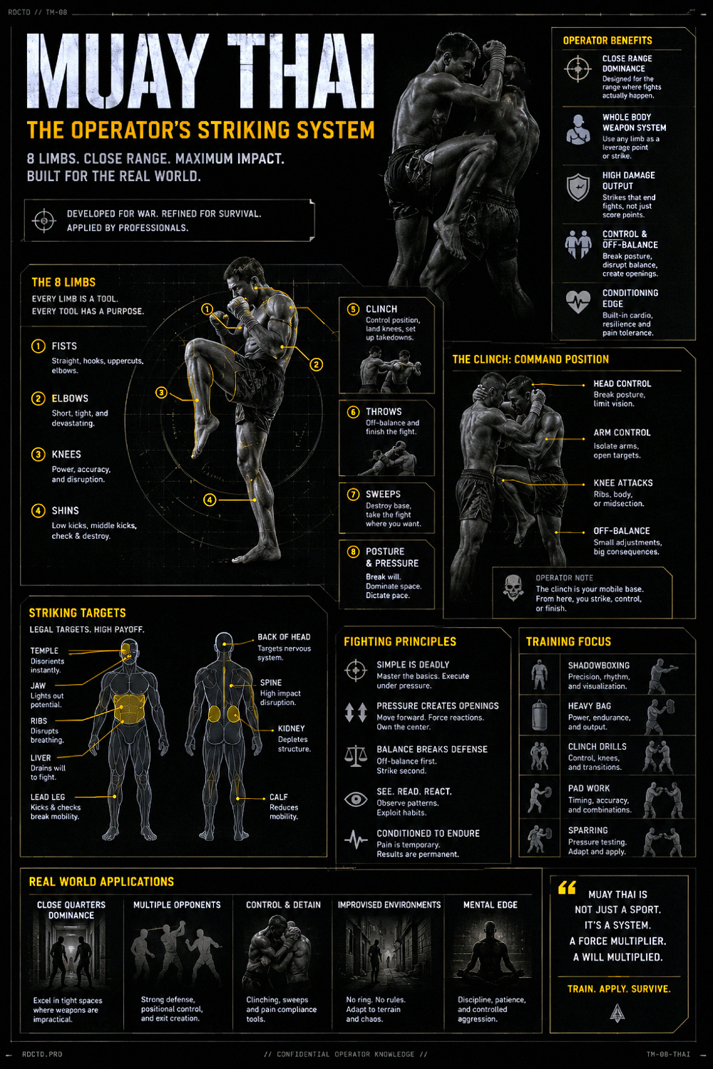 Muay Thai Infographic | RDCTD Tradecraft