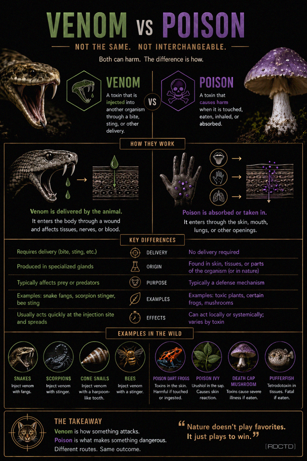 Venom vs Poison Infographic | RDCTD Tradecraft