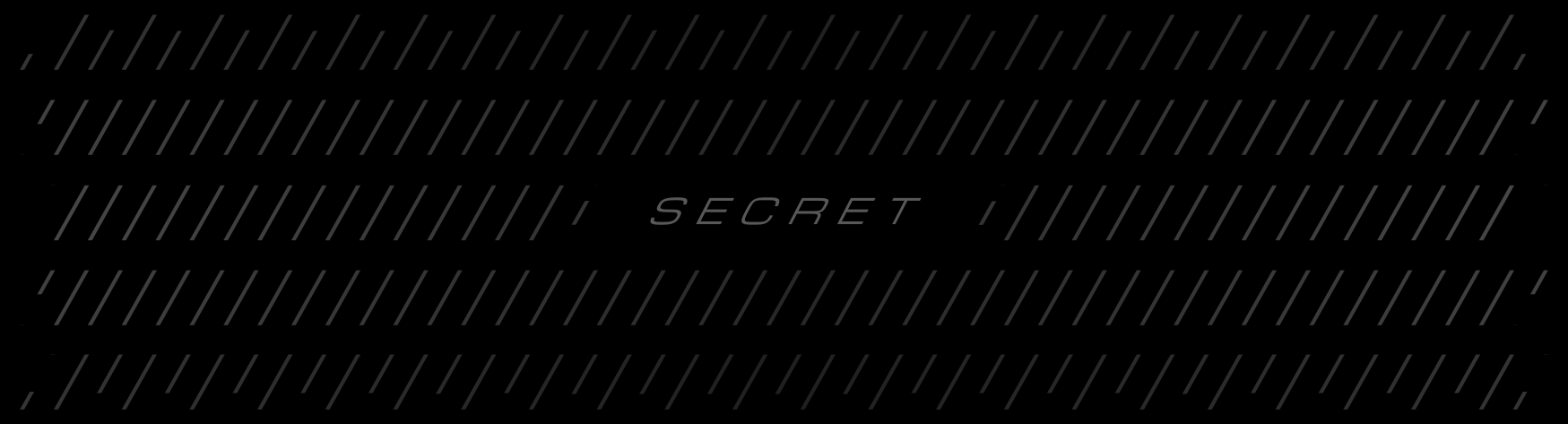 SECRET INTEL